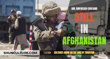 The Left Behind: American Civilians Stranded in Afghanistan