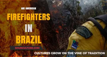 American Firefighters in Brazil: Exploring Cross-Border Collaboration and Support