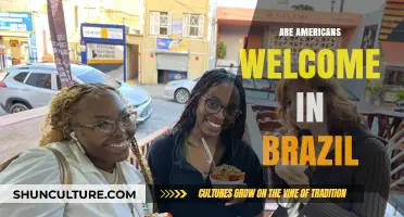 Are Americans Welcome in Brazil? Exploring Cultural Exchange and Hospitality