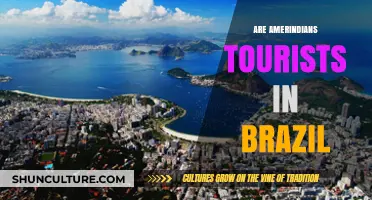 Amerindians in Brazil: Tourists or Indigenous Residents?