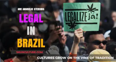 Are Anabolic Steroids Legal in Brazil? Laws and Penalties Explained