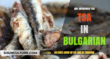 Exploring Anchovies: A Culinary Journey into Bulgaria's TSA TSA Tradition