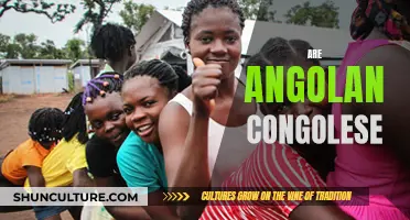 Angolan-Congolese Relations: A Historical Overview