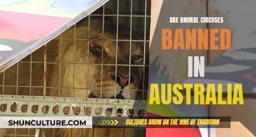 Animal Circuses: Australia's Ban and Its Impact