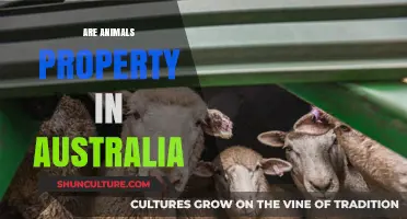 Animal Ownership: Australia's Perspective