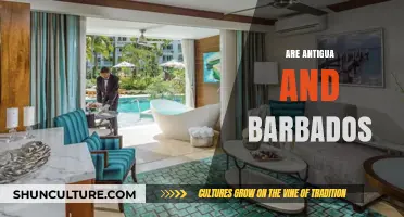 Exploring the Unique Differences Between Antigua and Barbados