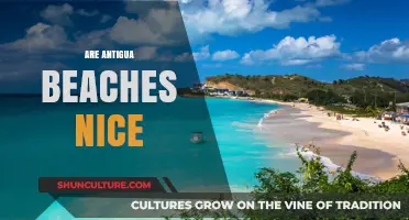 Discovering Antigua's Stunning Beaches: Are They Truly Paradise on Earth?