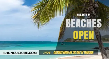 Are Antigua's Beaches Open? Current Status and Visitor Guidelines