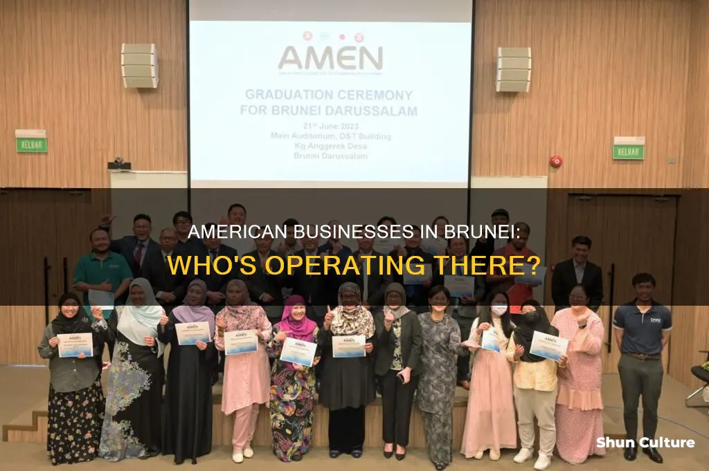 are any american businesses operating in brunei