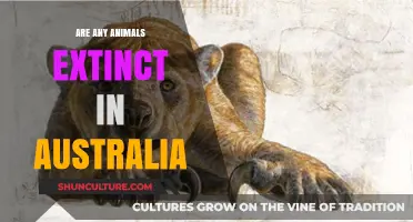 Australian Wildlife: Extinct or Surviving?