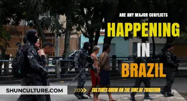 Current Major Conflicts in Brazil: An Overview of Ongoing Tensions