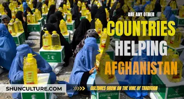 Global Solidarity for Afghanistan: An Overview of International Aid Efforts