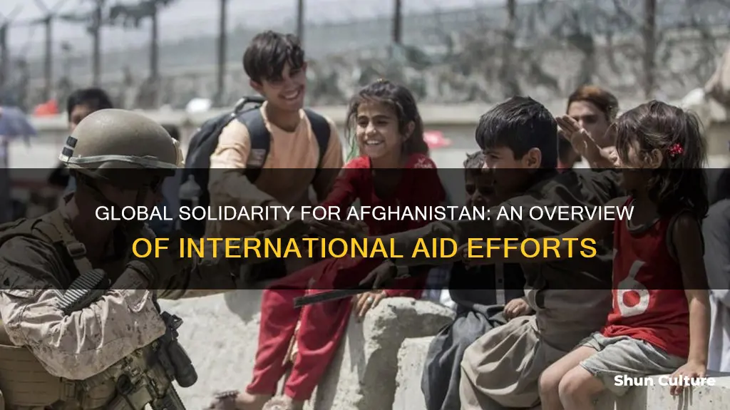 are any other countries helping afghanistan