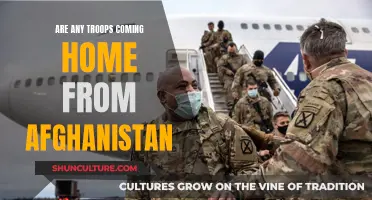 The Long-Awaited Homecoming: Examining the Return of Troops from Afghanistan