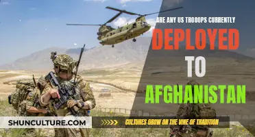 US Military Presence in Afghanistan: An Ongoing Commitment or a Thing of the Past?