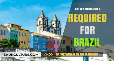 Essential Vaccinations for Brazil: What Travelers Need to Know