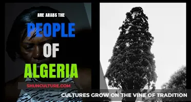 Are Algerians Arab? Exploring the Cultural Identity of Algeria's People
