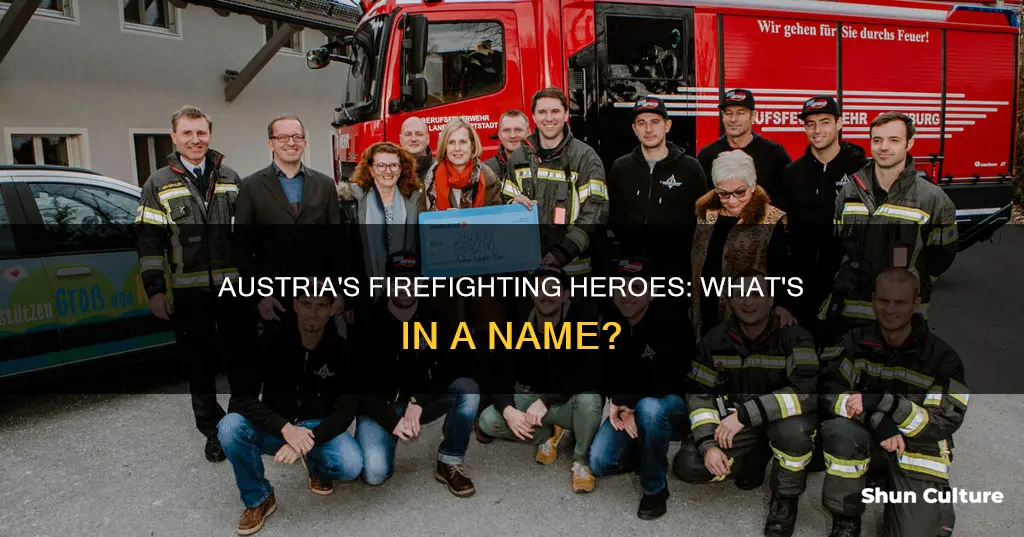 are are firefighters called austria