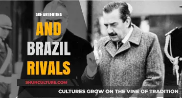 Argentina vs. Brazil: Unraveling the Historic Rivalry in South American Football