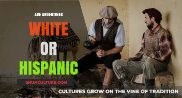 Exploring Argentine Identity: White, Hispanic, or Something Else?