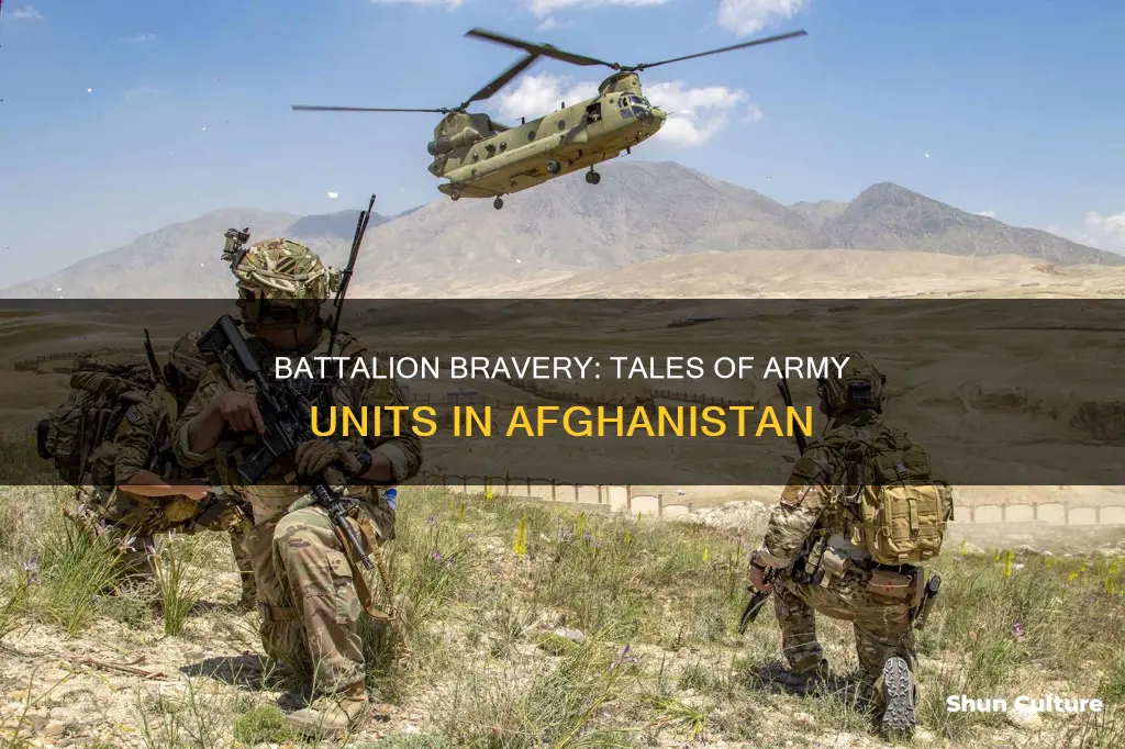 are army battlianons deployed to afghanistan