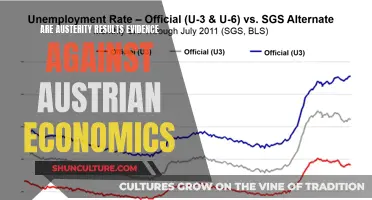 Austerity Results: Austrian Economics' Evidence or Contradiction?