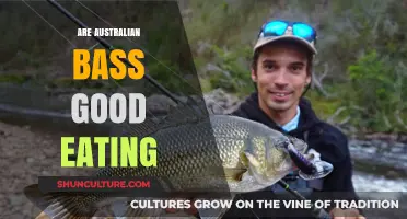 Bass Eating: Australian Style