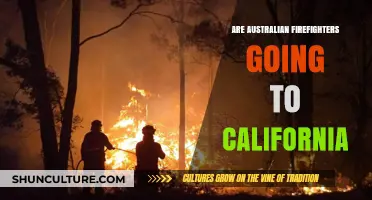 Australian Firefighters Deploy to California: A Global Effort Against Wildfires