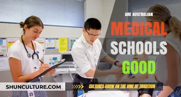 Australian Medical Schools: Are They Worth It?