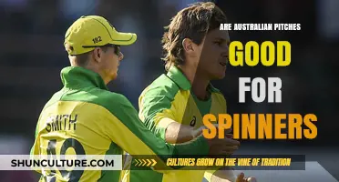 Spin Bowling: Australian Pitches Examined