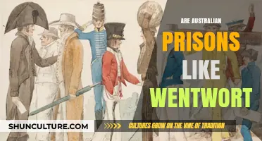 Exploring the Reality of Australian Prisons: The Wentworth Myth