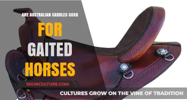 Gaited Horses and Australian Saddles: A Good Fit?