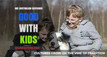 Australian Shepherds: Kid-Friendly Canine Companions?