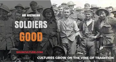 Australian Soldiers: Are They the Best?