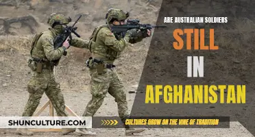 Australian Troops: The Lingering Presence in Afghanistan