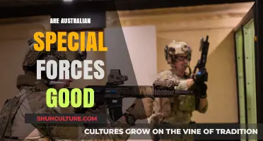 Australian Special Forces: Elite and Effective?
