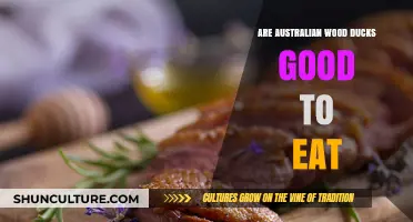 Wood Duck Delicacy: Are They Worthy?