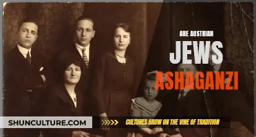 Ashkenazi Jews in Austria: A Complex Cultural Identity