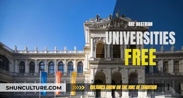 Austrian Universities: Free or Fee-Based Education?