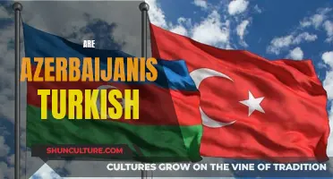 Exploring Azerbaijani Identity: Turkish or Not?