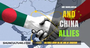 Bangladesh-China Relations: Strategic Partnership or True Alliance?