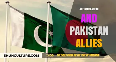 Bangladesh and Pakistan: Allies or Distant Partners in South Asia?