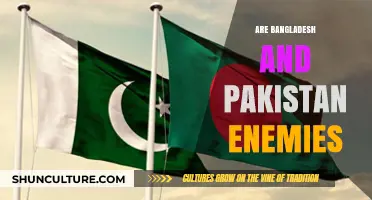 Bangladesh and Pakistan: Historical Tensions and Current Diplomatic Relations