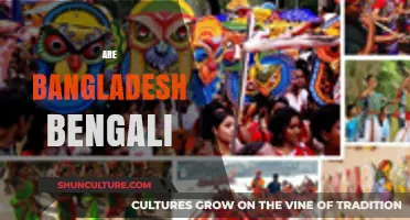 Exploring the Cultural and Linguistic Identity of Bangladesh and Bengali