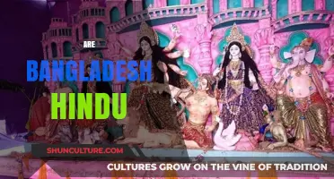 Exploring Bangladesh's Hindu Population: Demographics, Culture, and Traditions