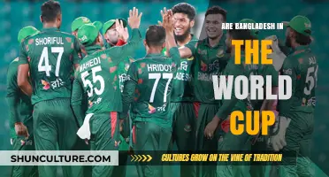 Bangladesh's World Cup Journey: Dreams, Challenges, and Global Cricket Stage