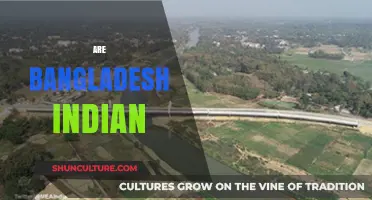 Are Bangladesh and India Connected? Exploring Historical and Cultural Ties