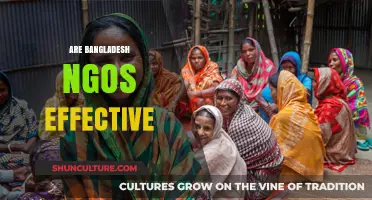 Evaluating Bangladesh NGOs: Impact, Challenges, and Effectiveness in Development