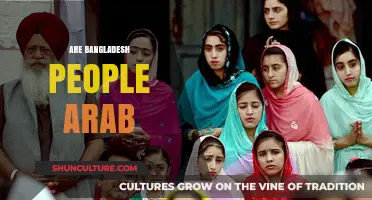 Are Bangladeshis Arab? Exploring Cultural and Ethnic Differences