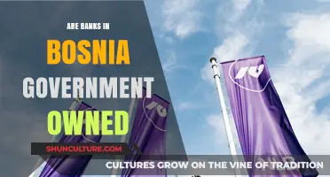Are Bosnian Banks Government-Owned? Exploring the Country's Banking Structure
